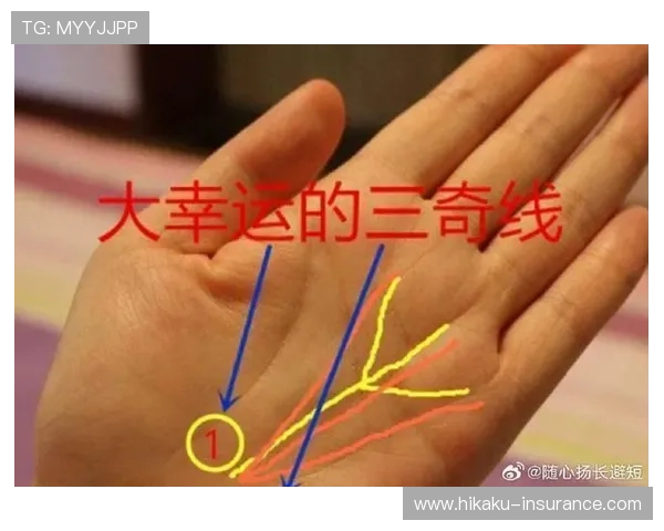 开运平台官网上那些令人心动的手相测算和八字分析服务